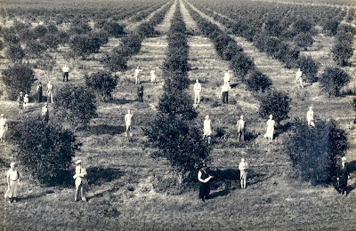 10++01-009-A+Grove+investors+